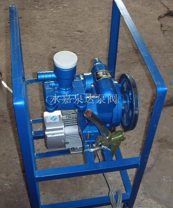 电动、手摇二用计量加油泵